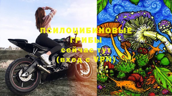 скорость Абаза