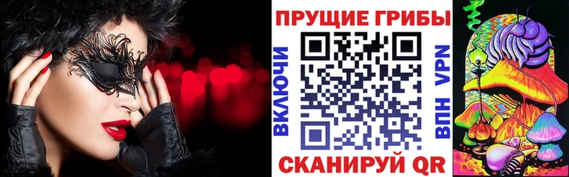 наркота  Чегем  Галлюциногенные грибы MAGIC MUSHROOMS 